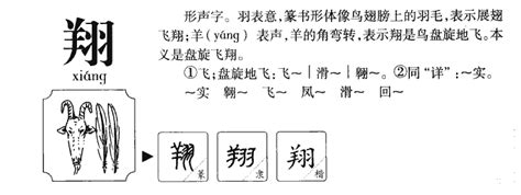 翔 五行|翔字的五行属什么